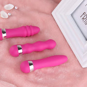 Realistic Dildo Bullet Vibrator